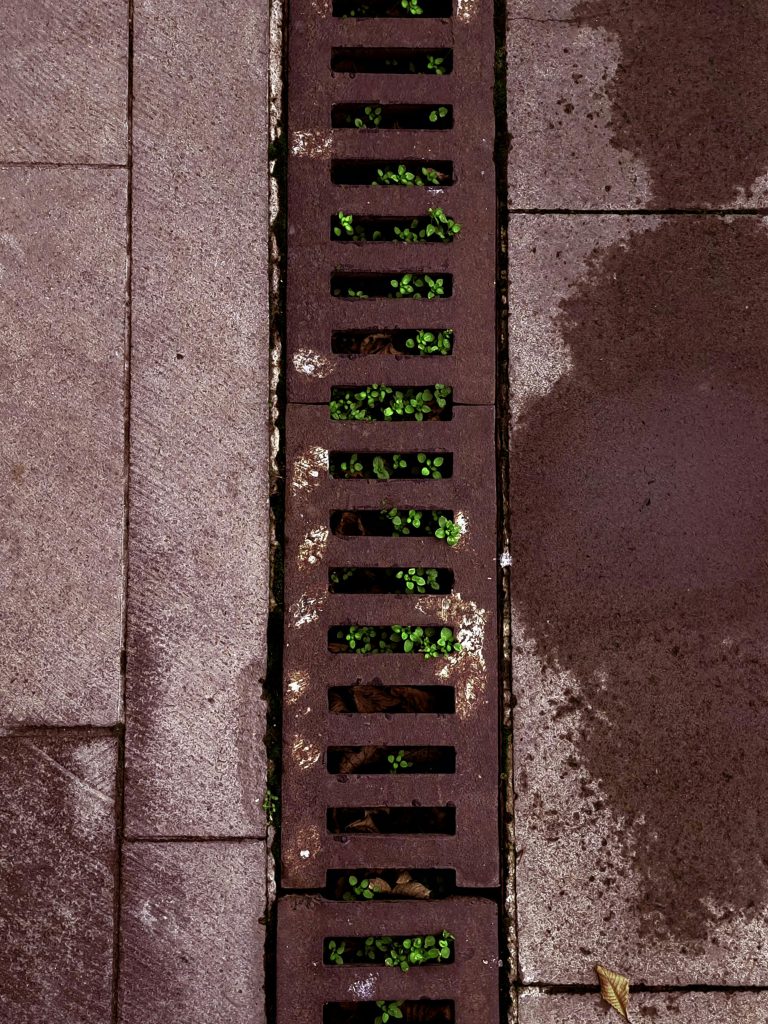 Pourquoi choisir une allée en béton drainant ?