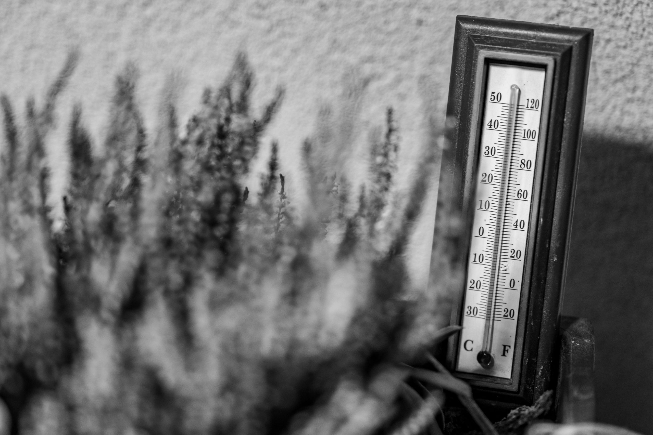 Différence de température avec isolation et chauffage