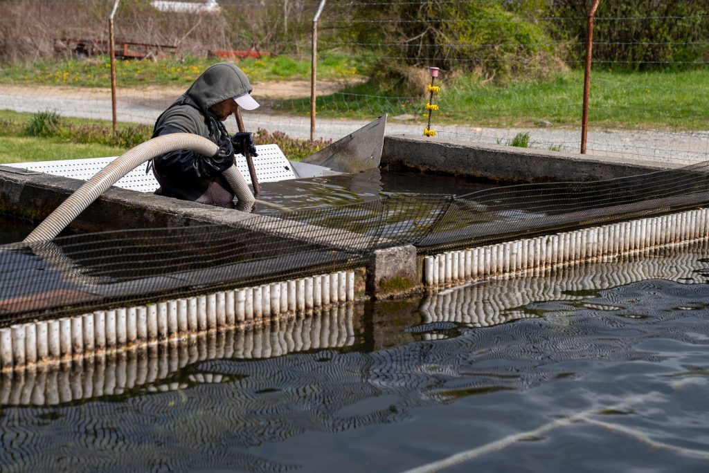 Comment fabriquer un aspirateur de bassin fait maison ?