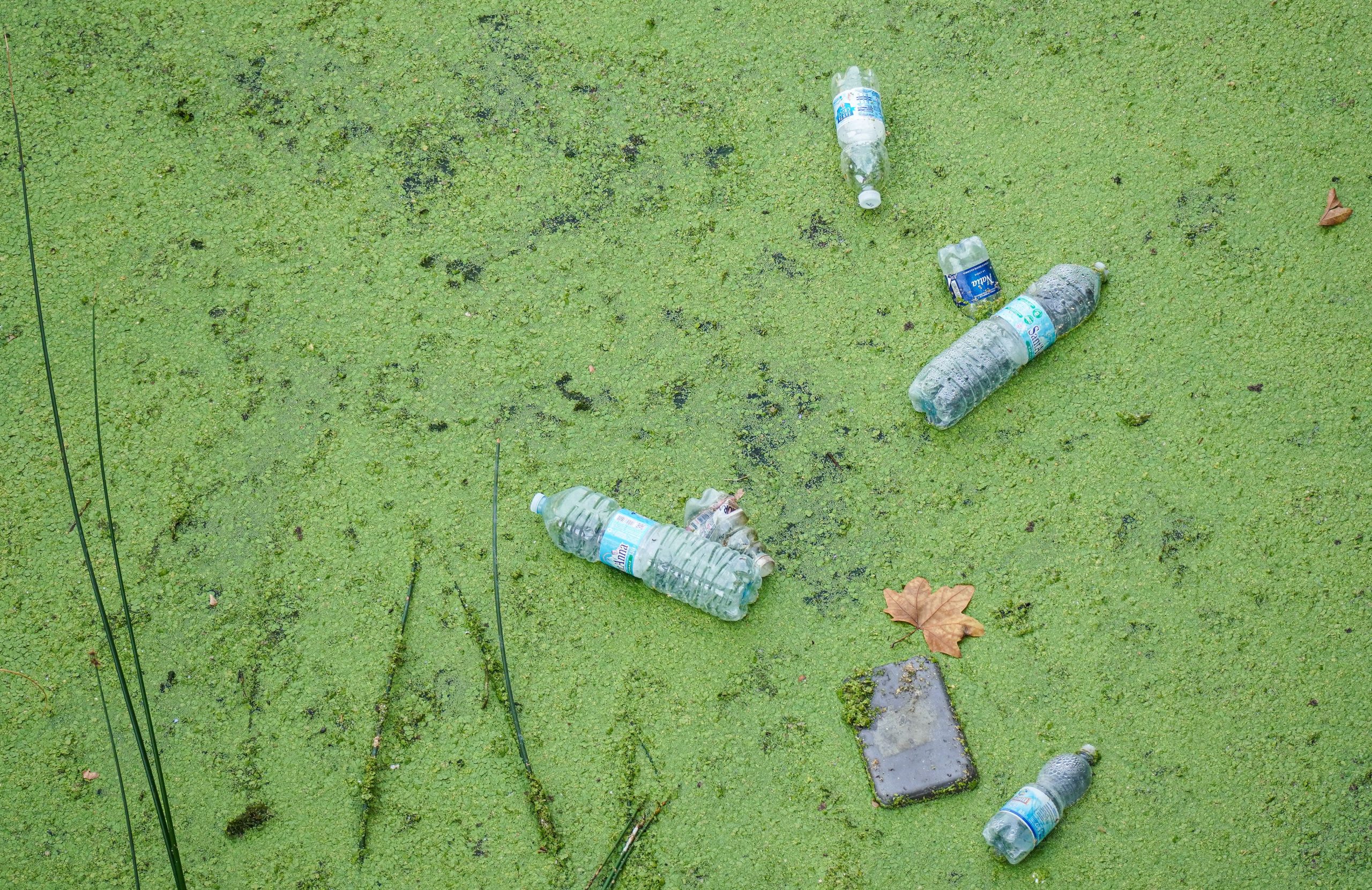 Pollution bassin bouteilles plastiques algues