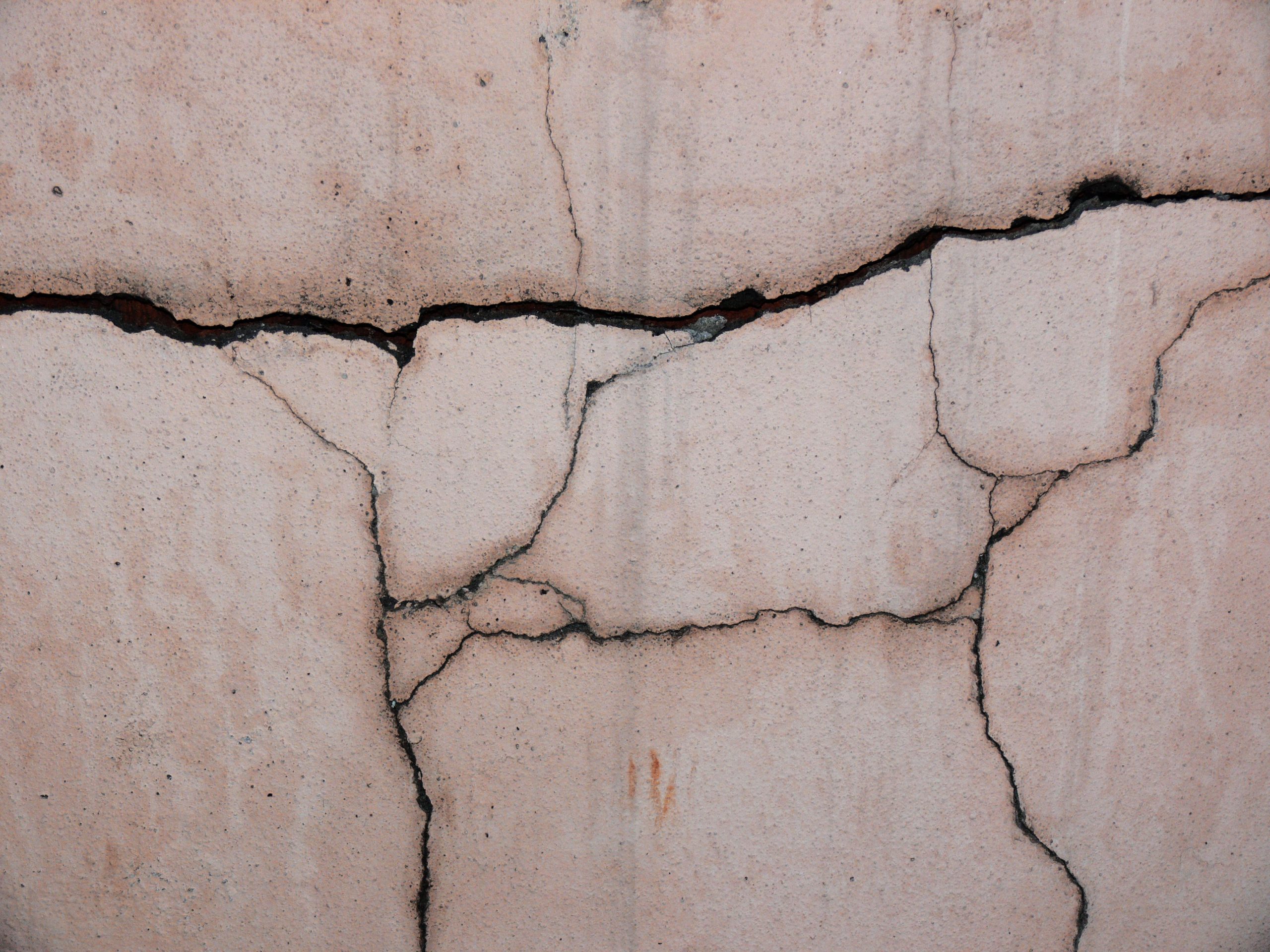Mur béton fissuré par racines