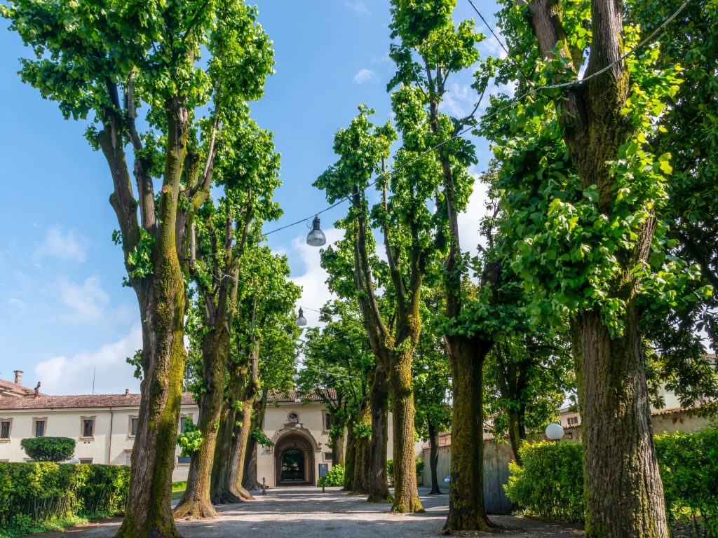 Une allée en gravier stabilisé, ça tient vraiment dans le temps ?