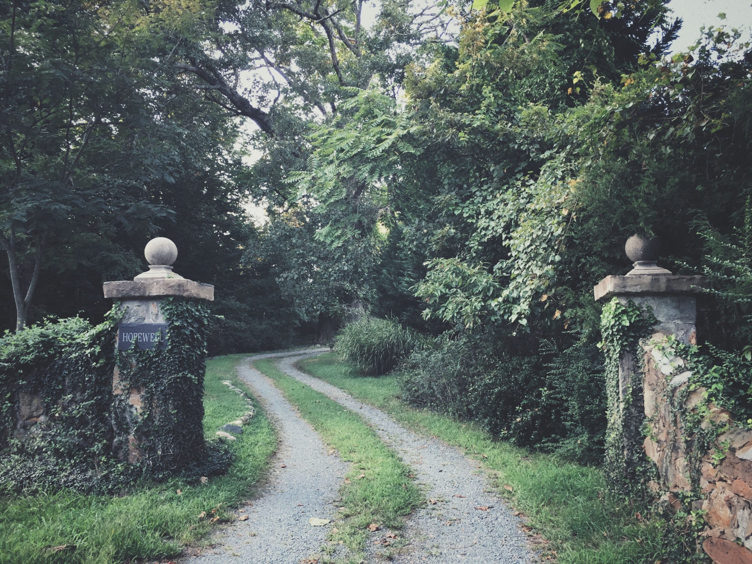 Sentier naturel entouré d'arbres et piliers historiques