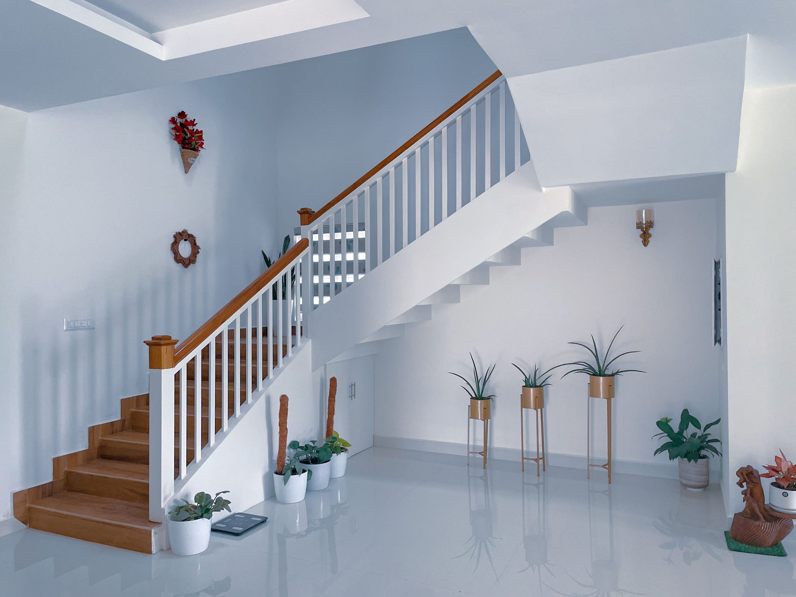 Escalier élégant moderne avec plantes décoratives
