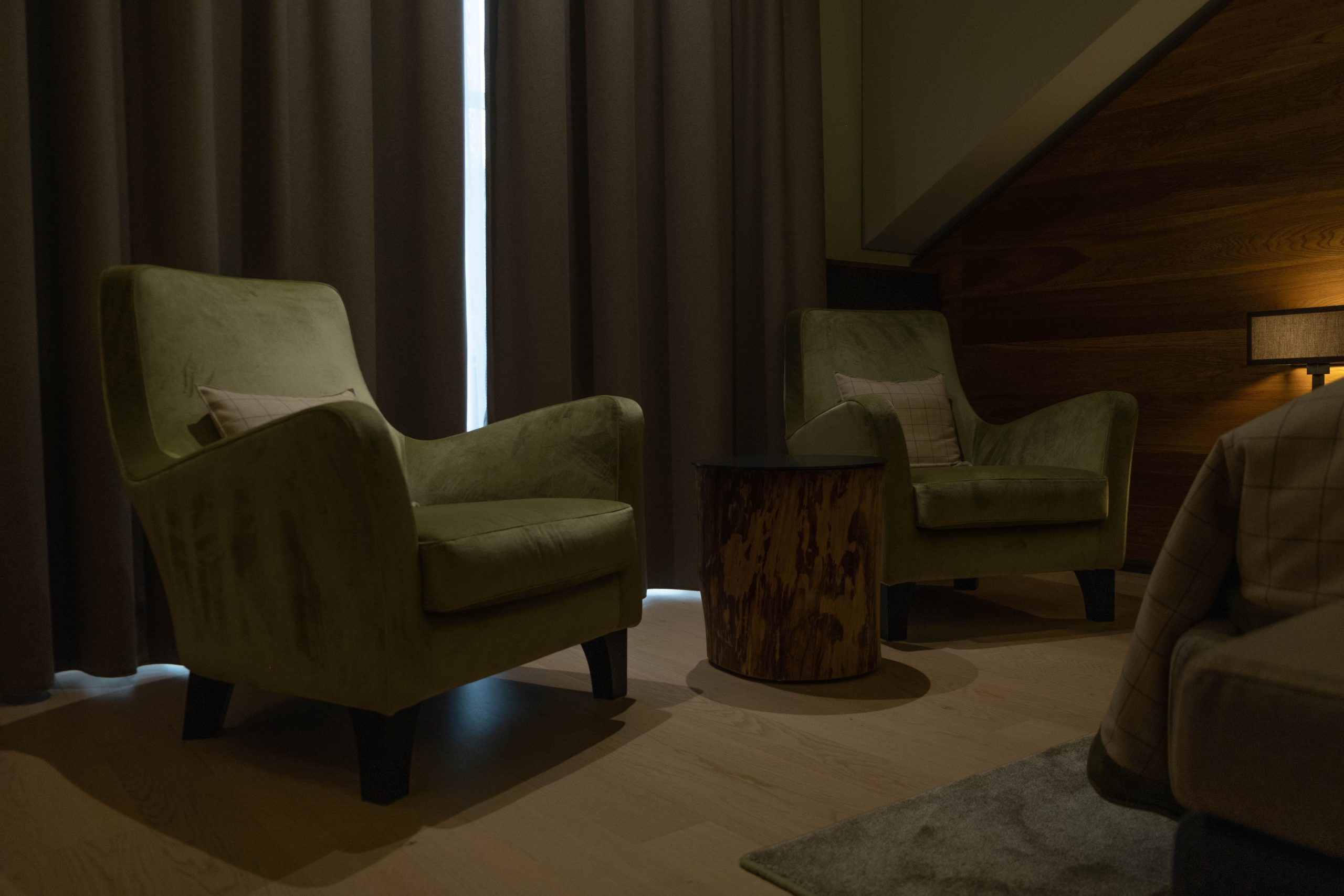 Salon moderne avec fauteuils moelleux et bois