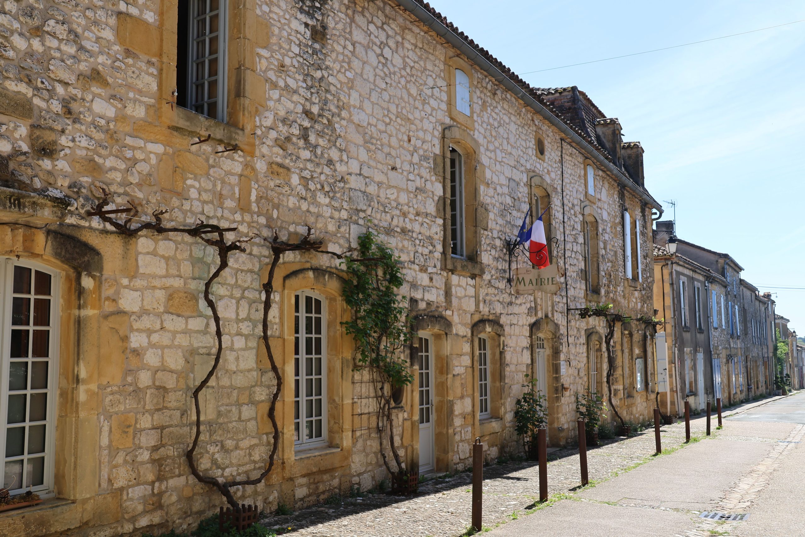 Maison en pierre entourée jardin verdoyant Provence