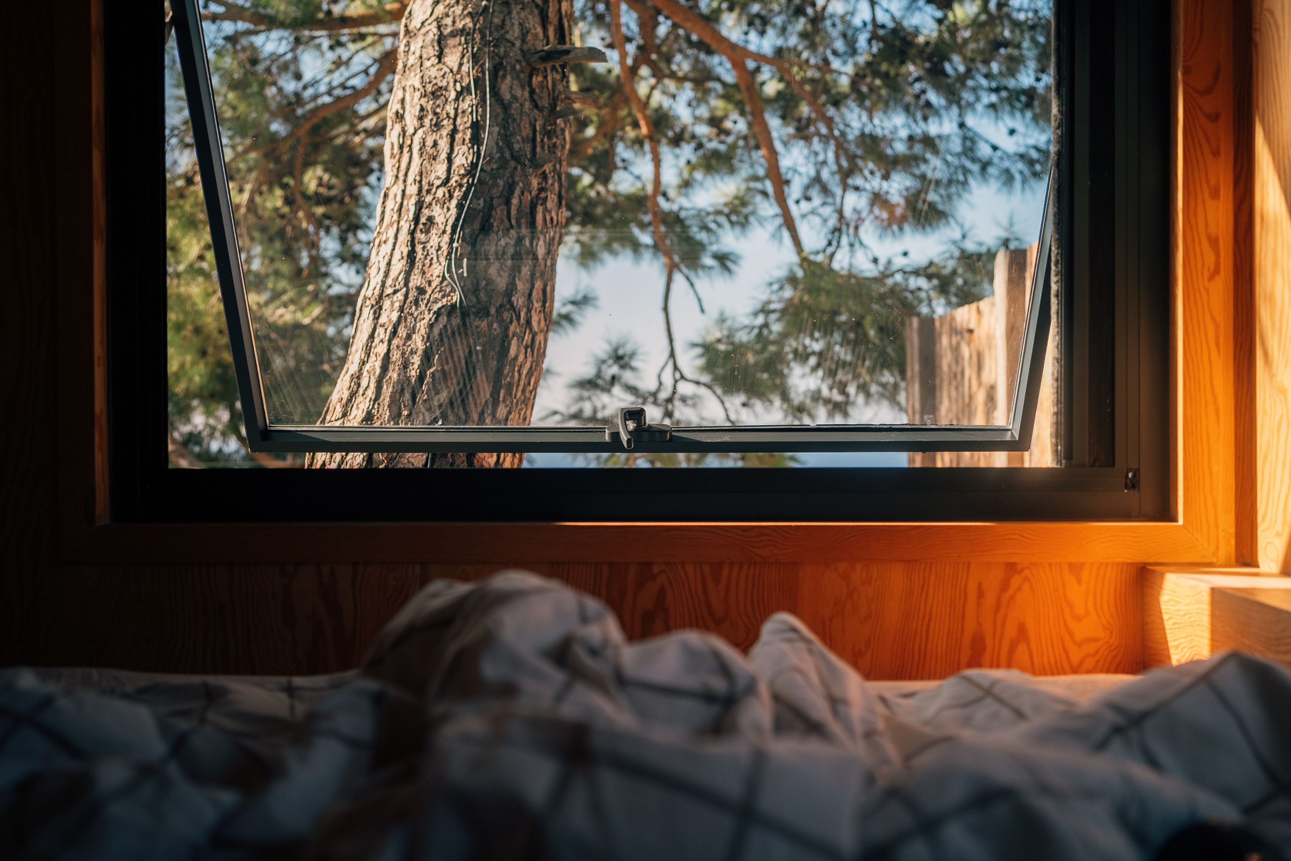 Intérieur chaleureux avec fenêtre ouverte sur arbres
