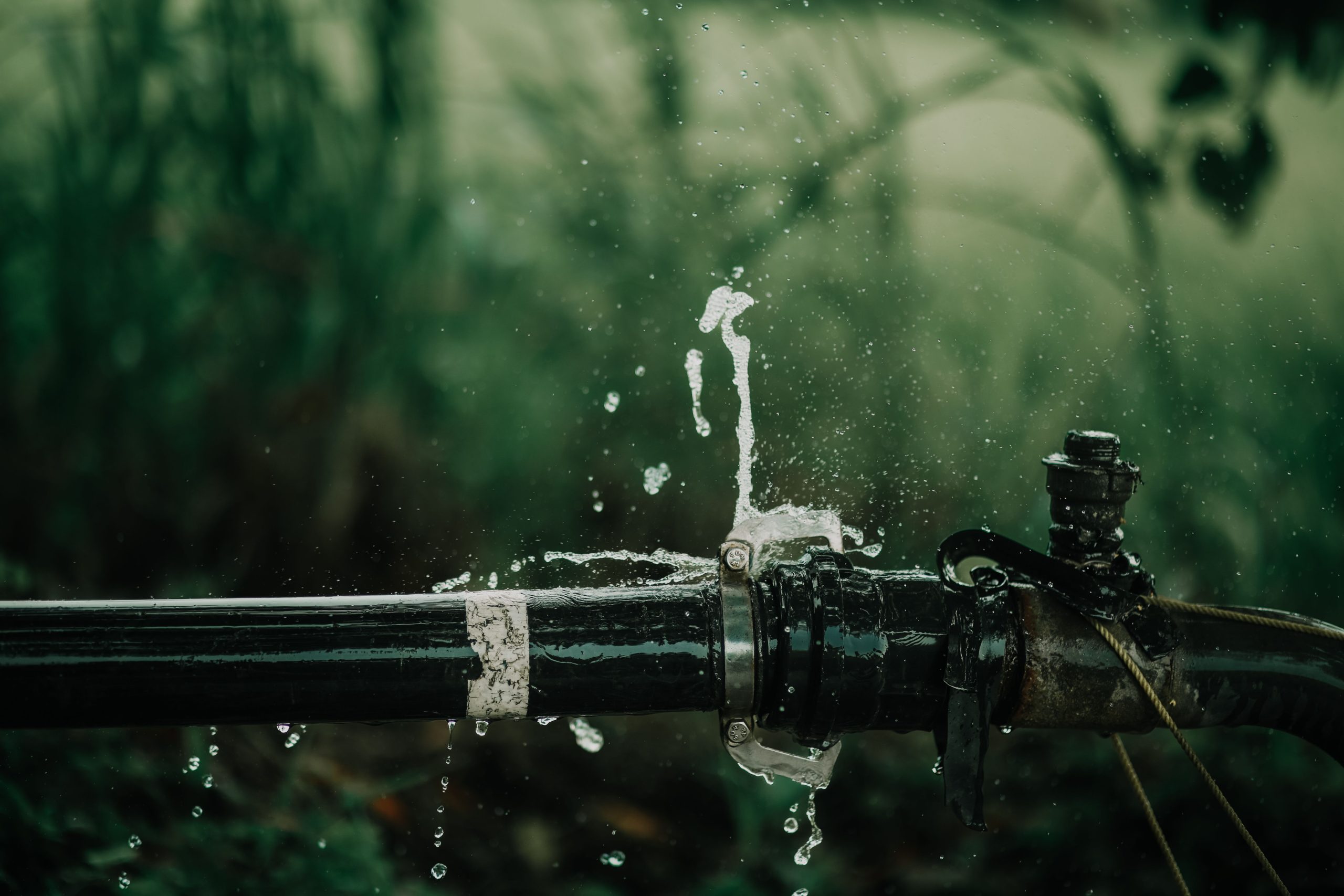 Tuyau d'eau qui fuit dans un jardin verdoyant